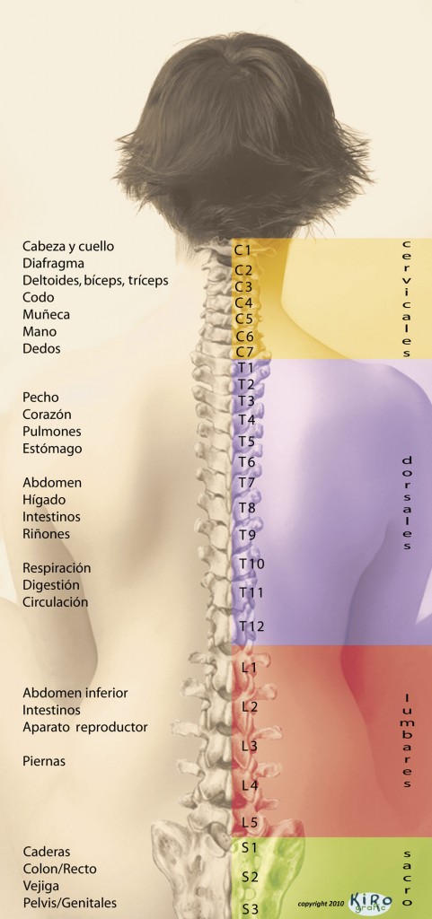 meditación letra Punto muerto Dolor de espalda - Ana Quiropractica | Tu quiropractico en Majadahonda