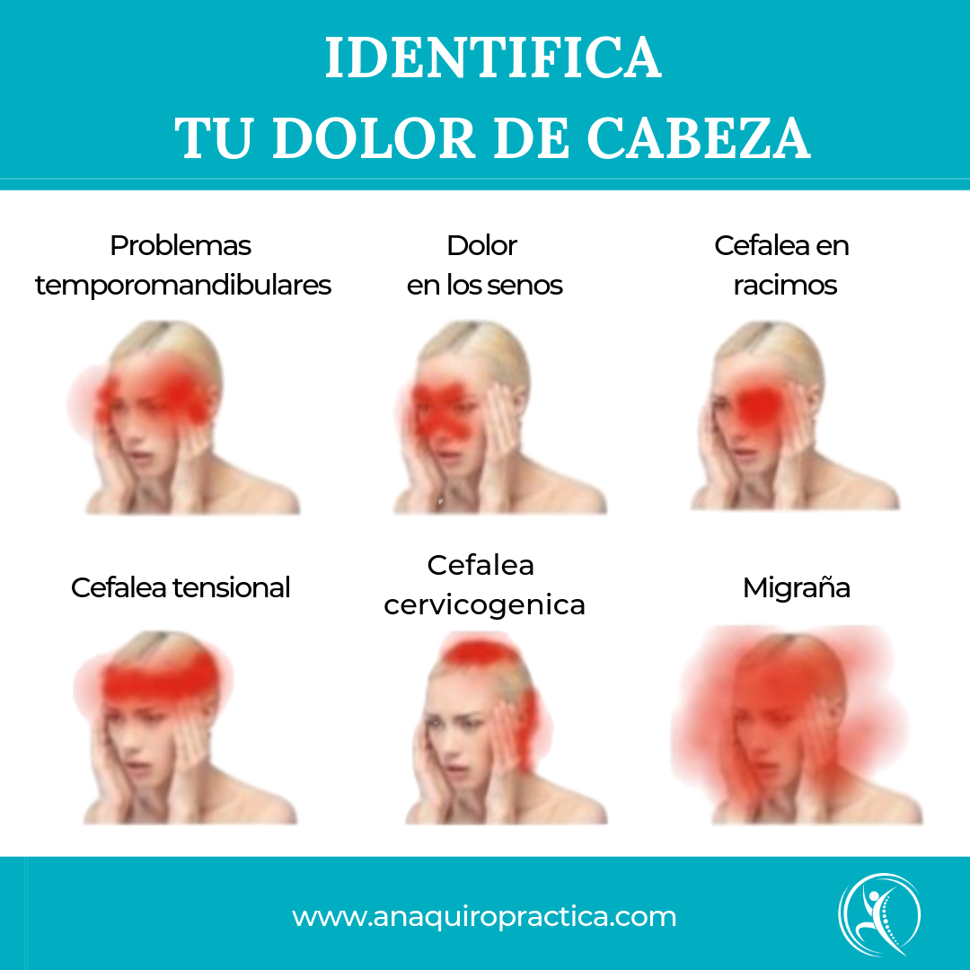 Lista 102+ Imagen De Fondo Que Es La Seborrea En La Cabeza Cena Hermosa